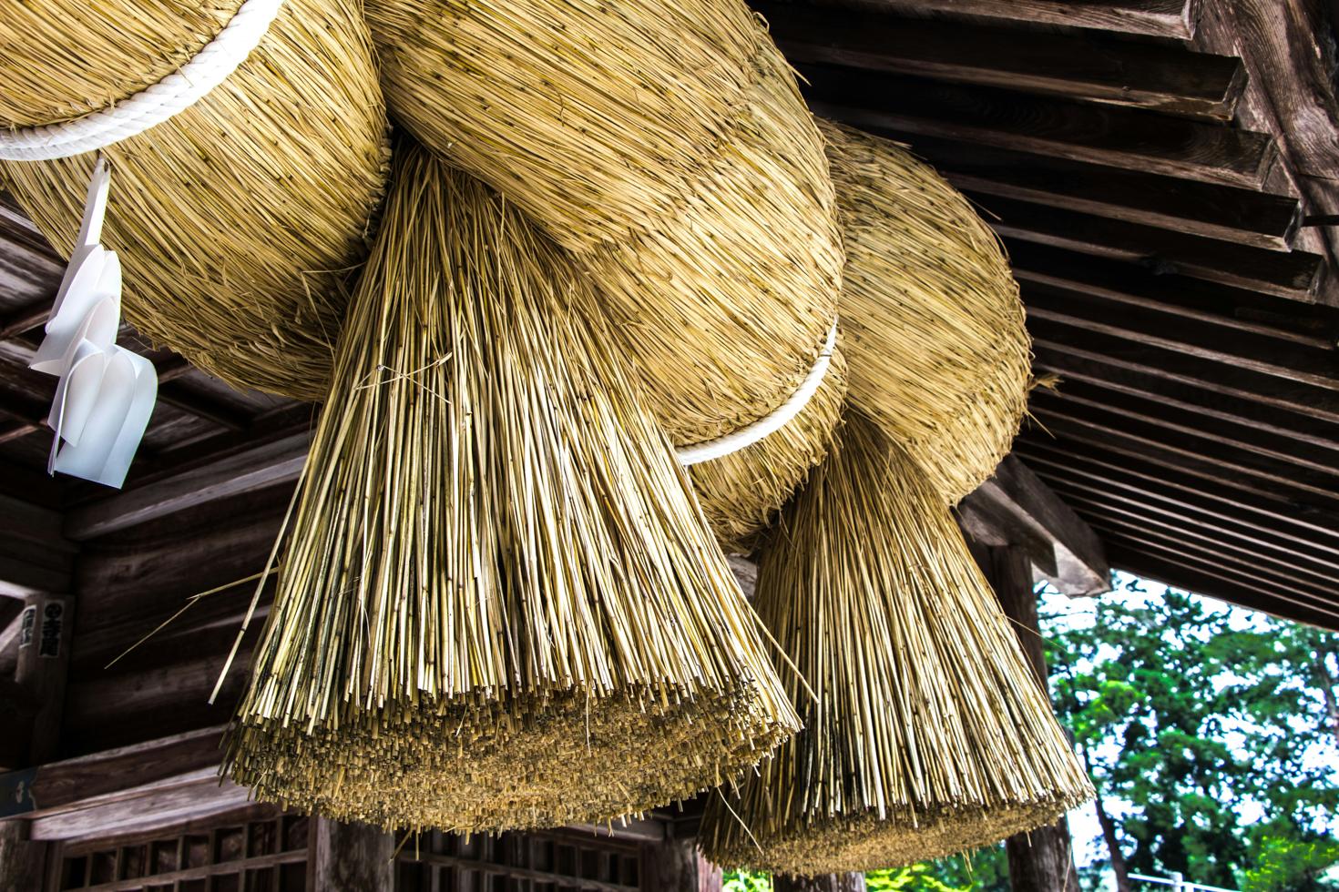 Gebündeltes Reet für traditionelle Dachdeckung und Naturbau